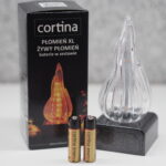 WKŁAD Z EFEKTEM PŁOMIENIA LED – PŁOMIEŃ XL