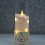 WKŁAD LED DIODA AGNES – 15cm/ tuba przezroczysta