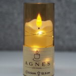 WKŁAD LED DIODA AGNES - 12,5cm/ tuba dymiona