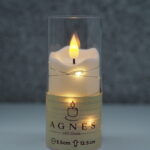 WKŁAD LED DIODA AGNES – 12,5cm/ tuba przezroczysta