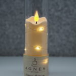 WKŁAD LED DIODA AGNES – 17,5cm/ tuba przezroczysta