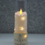 WKŁAD LED DIODA AGNES – 17,5cm/ tuba przezroczysta